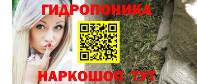 мдма Сланцы