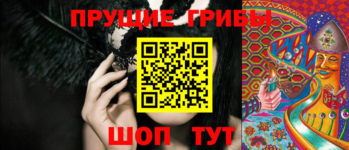 Псилоцибиновые грибы мухоморы  Псилоцибиновые грибы мухоморы  продажа наркотиков  Вход с VPN  Новоалександровск 