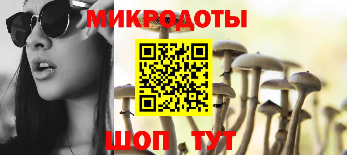 Галлюциногенные грибы GOLDEN TEACHER Новоалександровск